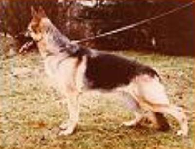 Jenny vom Großen Sand