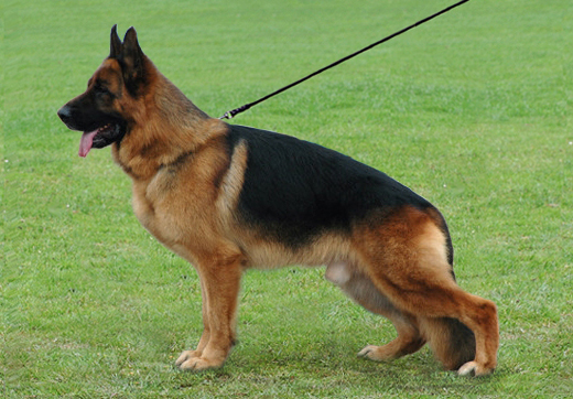 Giovanni vom Kapellenberg