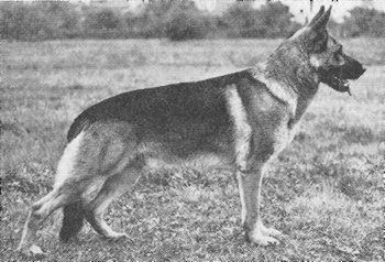 Lido von der Wienerau