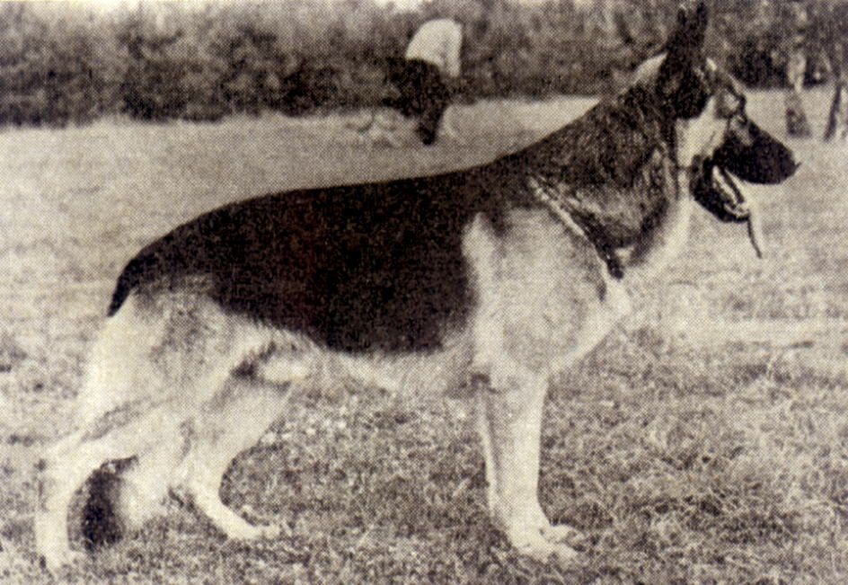 Troll vom Schloß Ahaus