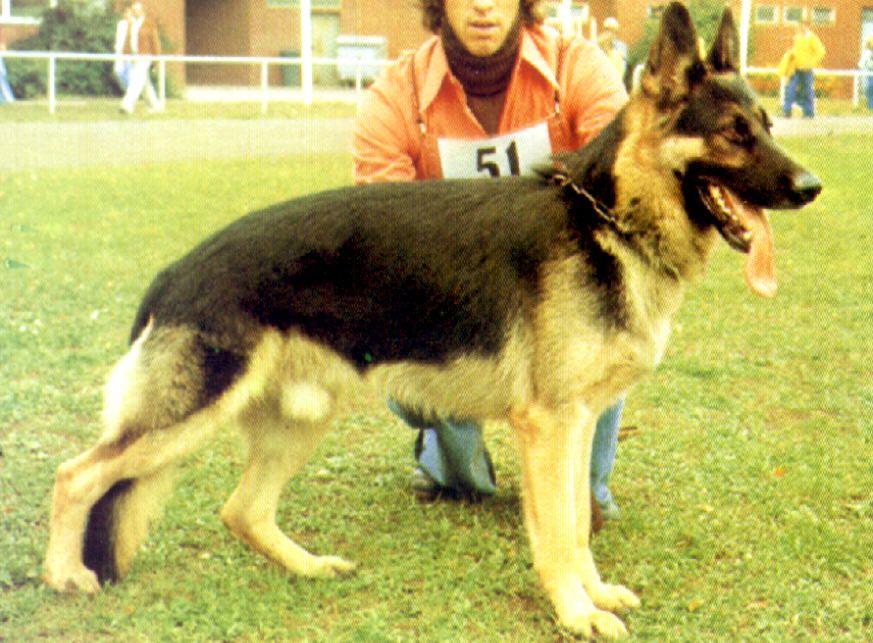 Dock von der Kiefersheck