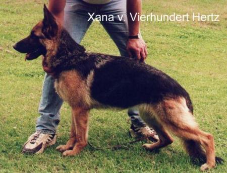 Xana von Vierhundert Hertz