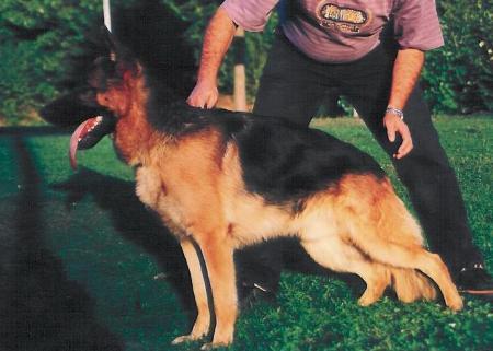 Mutz vom Heilbronner Schloß