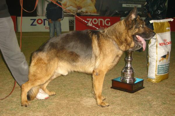 Mike von der Biberfalle