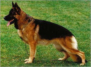 Quai zu den sieben Burgen