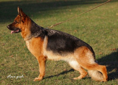 Jalmari vom Hühnegrab