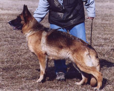 Toska zum Gigelsfelsen