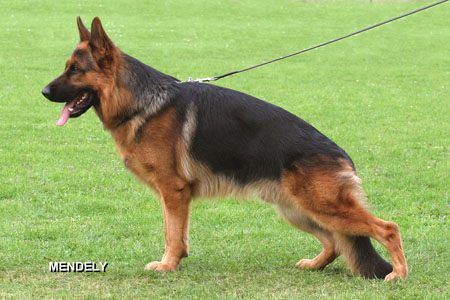 Hatto vom Hühnegrab