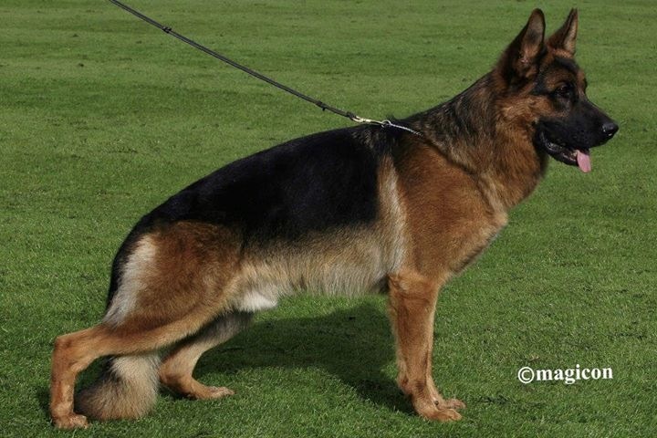 Granitt vom Osterberger-Tal