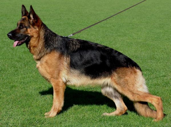 Anka vom Osterberger-Tal