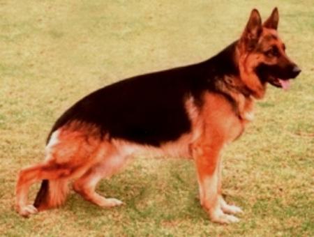 Cento vom Monopteros