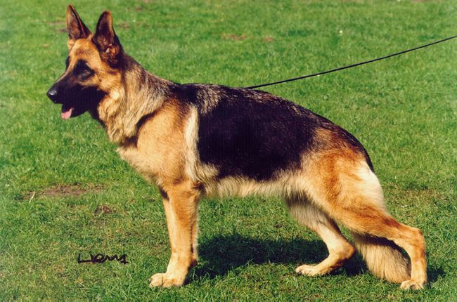 Magit vom Hühnegrab