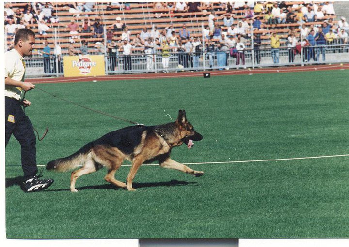 Qrick von der Wienerau