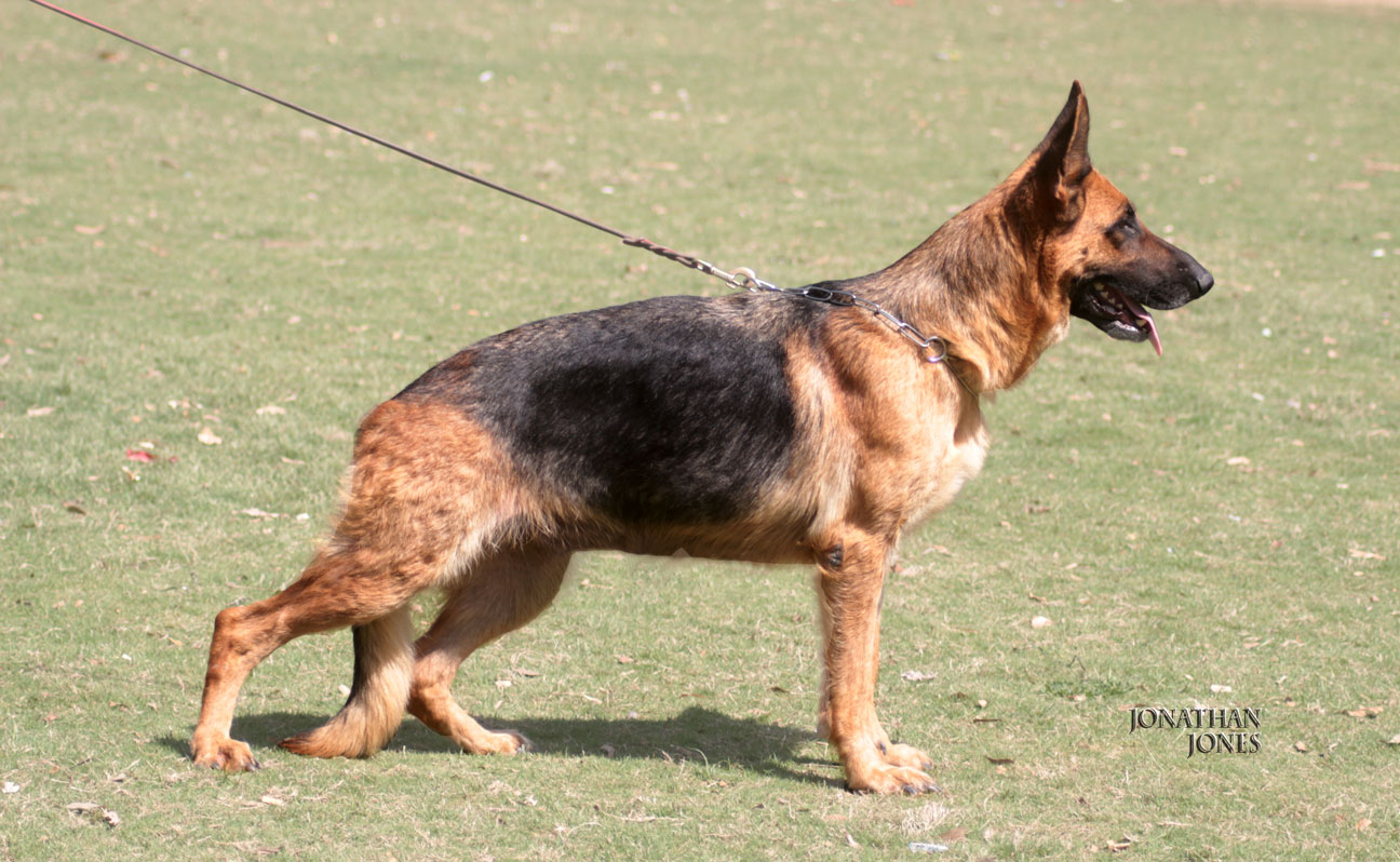 Billy vom Super Star