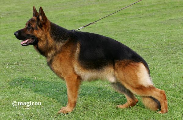 Unkas vom steilen Ufer