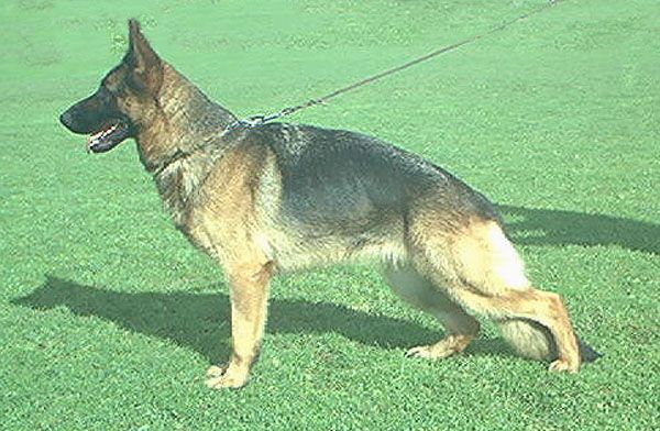 Wendy vom steilen Ufer