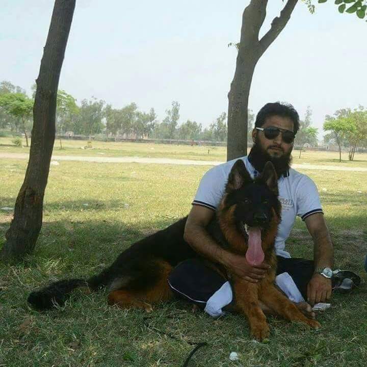 Charlie vom Edle Wolf