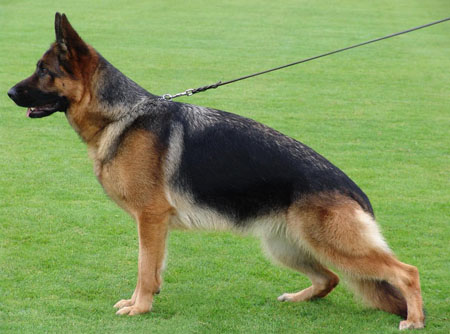 Mega vom Holtkämper See