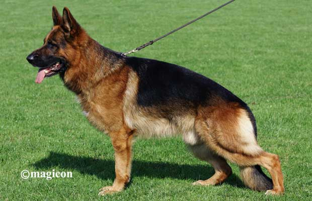 Quenn vom Löher Weg