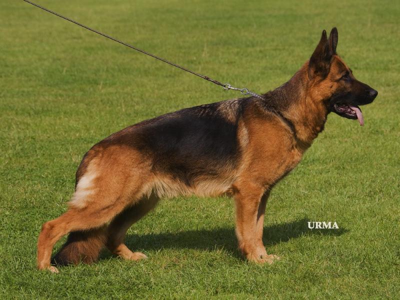 Bärbl von der kleinen Ranch