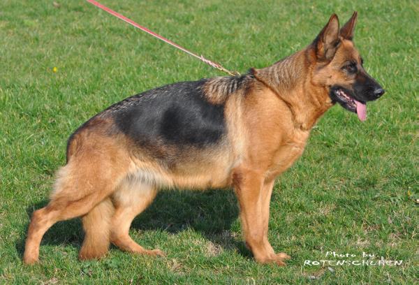 Mina Starođjurđjevačka