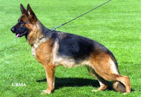 Conny vom Haus Portofino