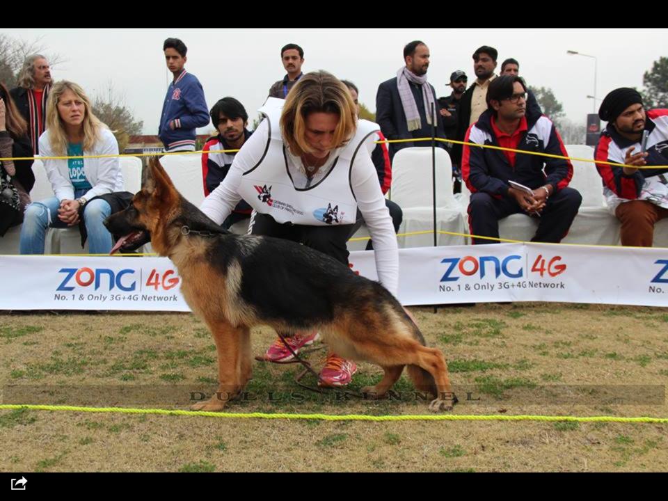 Aura Primo Mio Grande