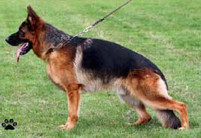 Baru di Croce Santo Spirito