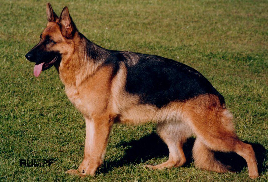 Ghandi von Kuramathi