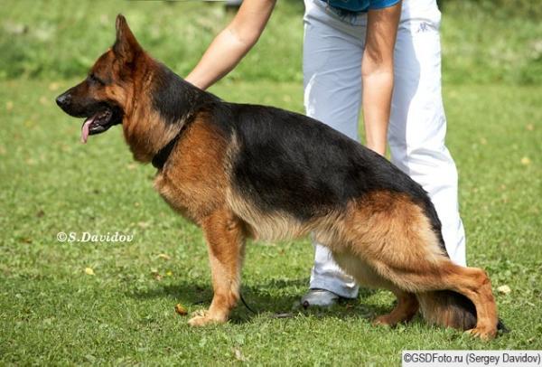 Uso von der Freiheit Westerholt