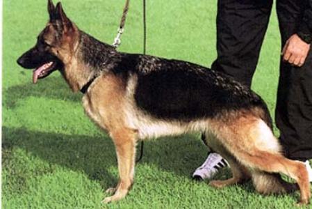 Pia vom St.-Michaels-Berg