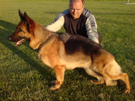 Danjali vom Holtkämper See