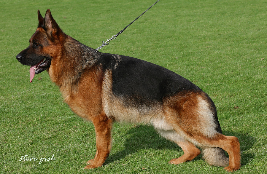 Willas vom Grafenbrunn