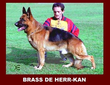 Brass de Herr Kan