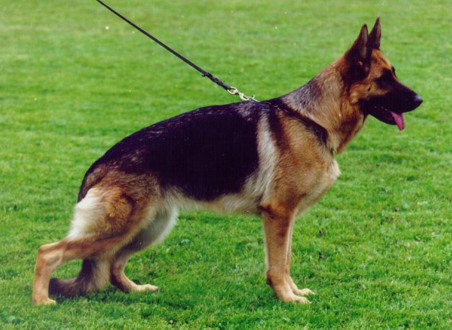 Beaury van Huis Kirura