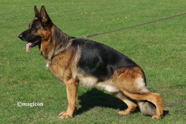 Franco vom Kuckucksland