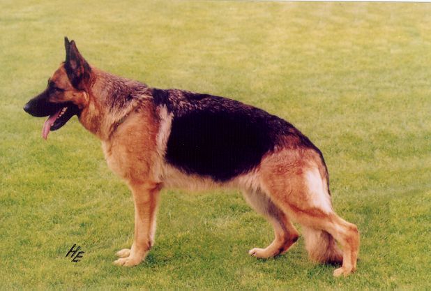 Fee von der Ajona Hütte