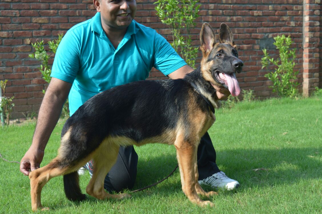 Giana vom Titus Batiatus