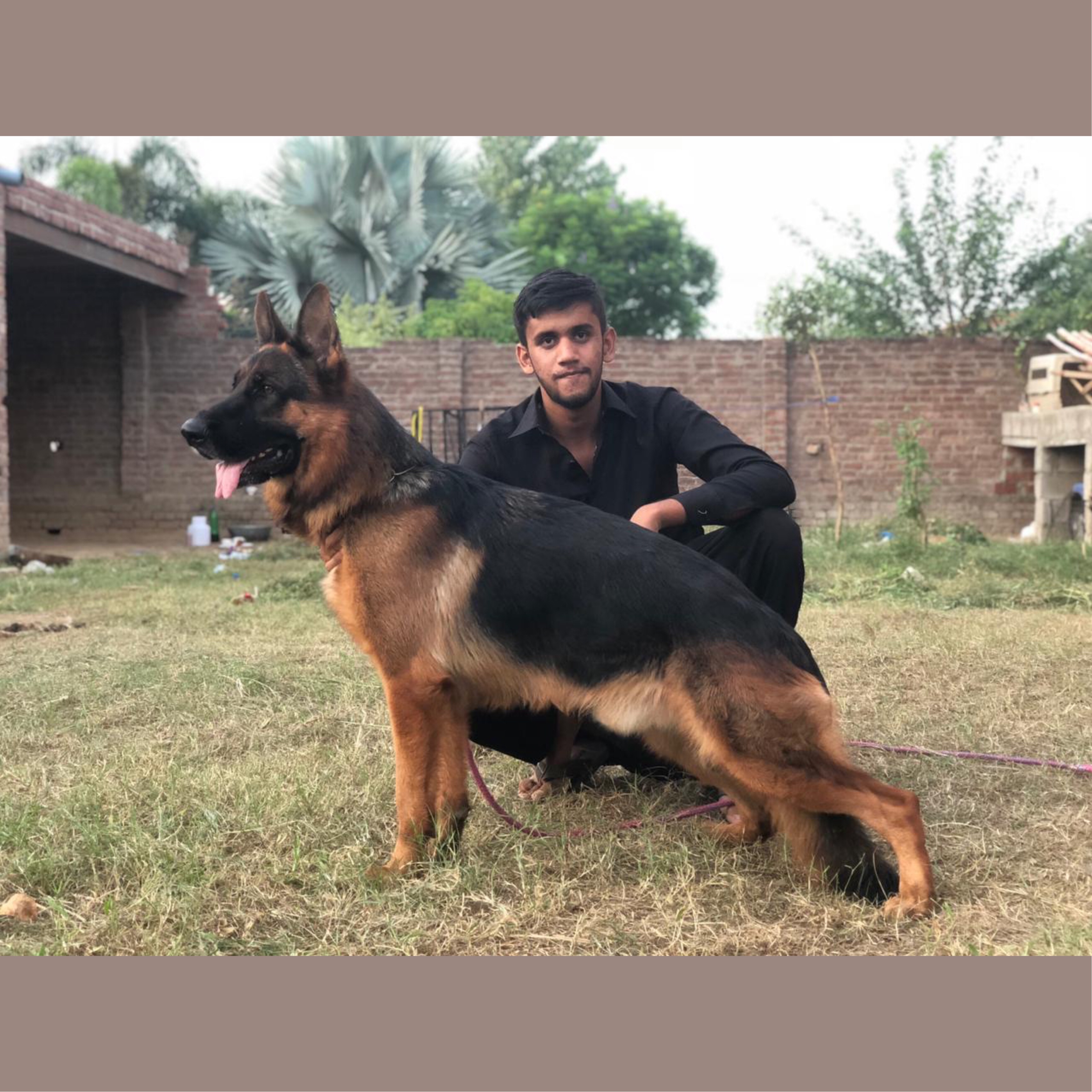 Prince vom Game Time