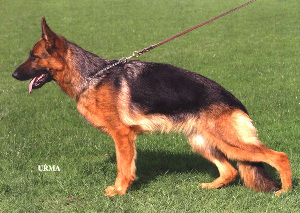 Babette von der Noriswand