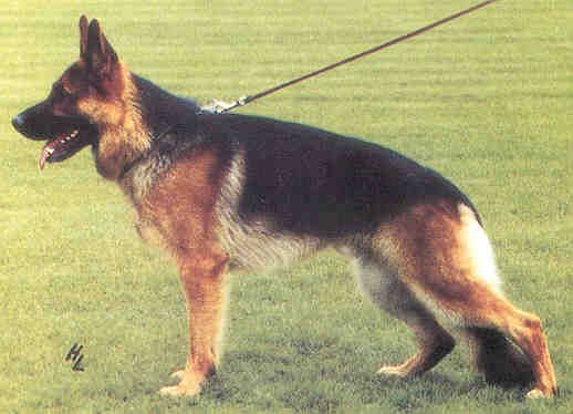 Atlas von Bad-Boll