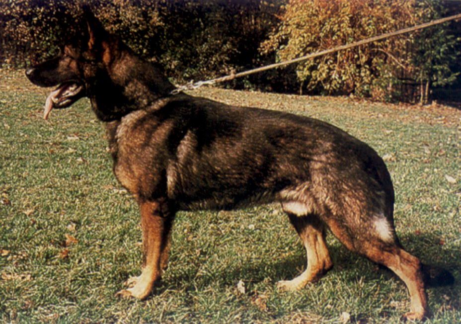 Bac von den Schlacken Alpen