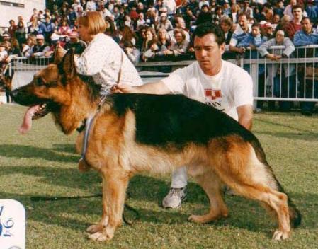 Vimo von der Wienerau