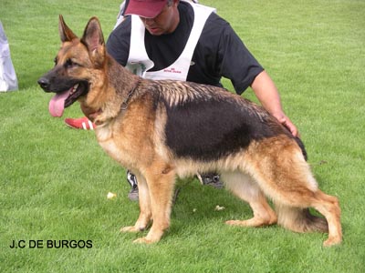 Rangoon du Haut Mansard