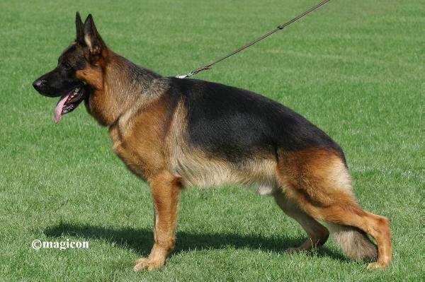 Sammo di Casa Beggiato