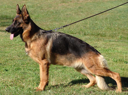 Neele aus der Brunnenstraße