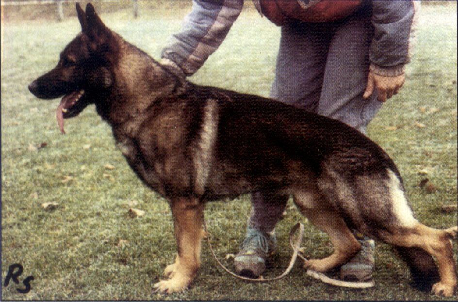 Marc vom Herkulesblick