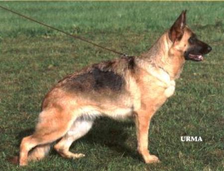 Floriana vom Insel-Wehr