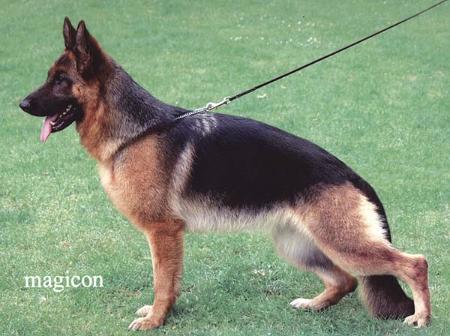 Raica vom Holtkämper See