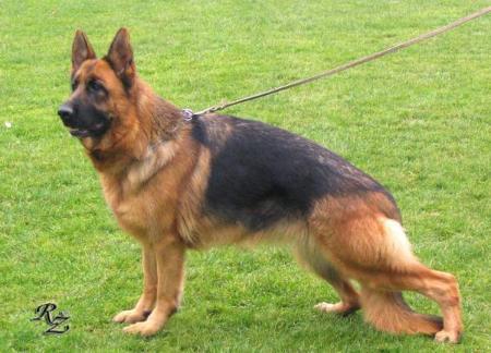 Gusti von der Wagnerzunft